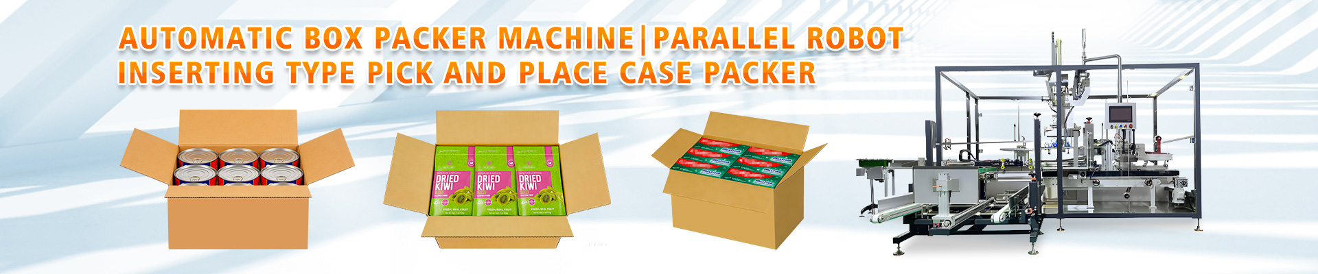 box packer machine